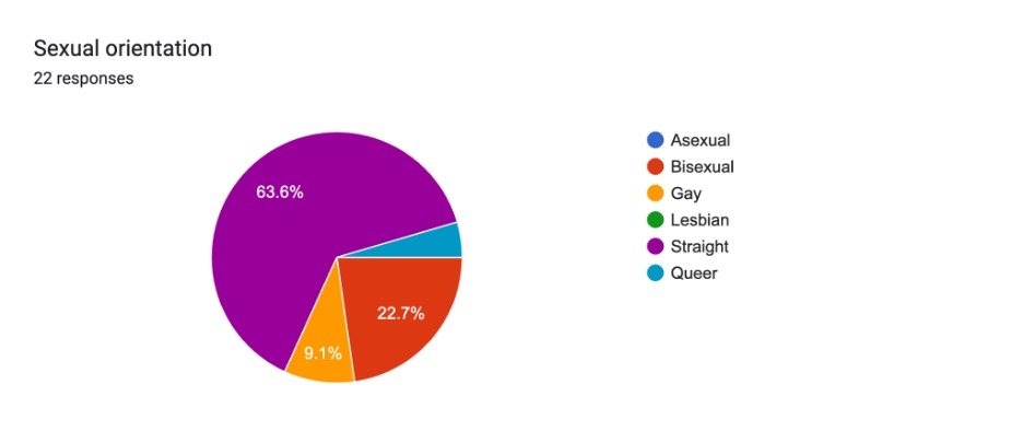 Figure 3: Pie chart depicting participant sexual orientation