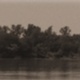 The WAC Summer Institute