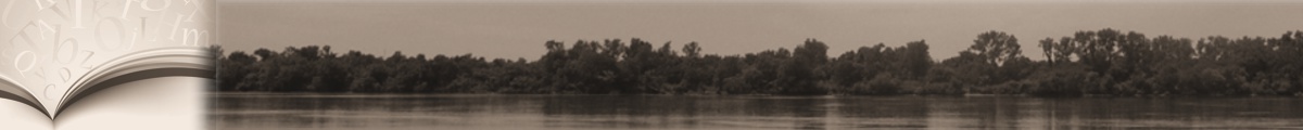 WAC Summer Institute