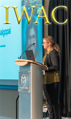 Community Image